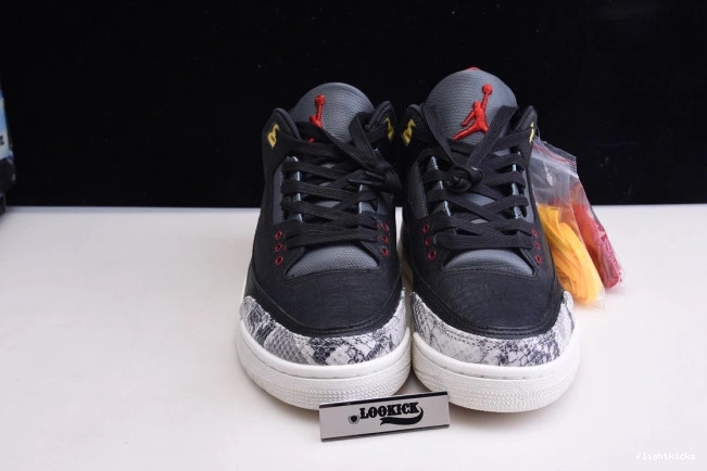 2.0 Animal Air Retro Instinct CV3583-003 SE - 3 Jordan 0903